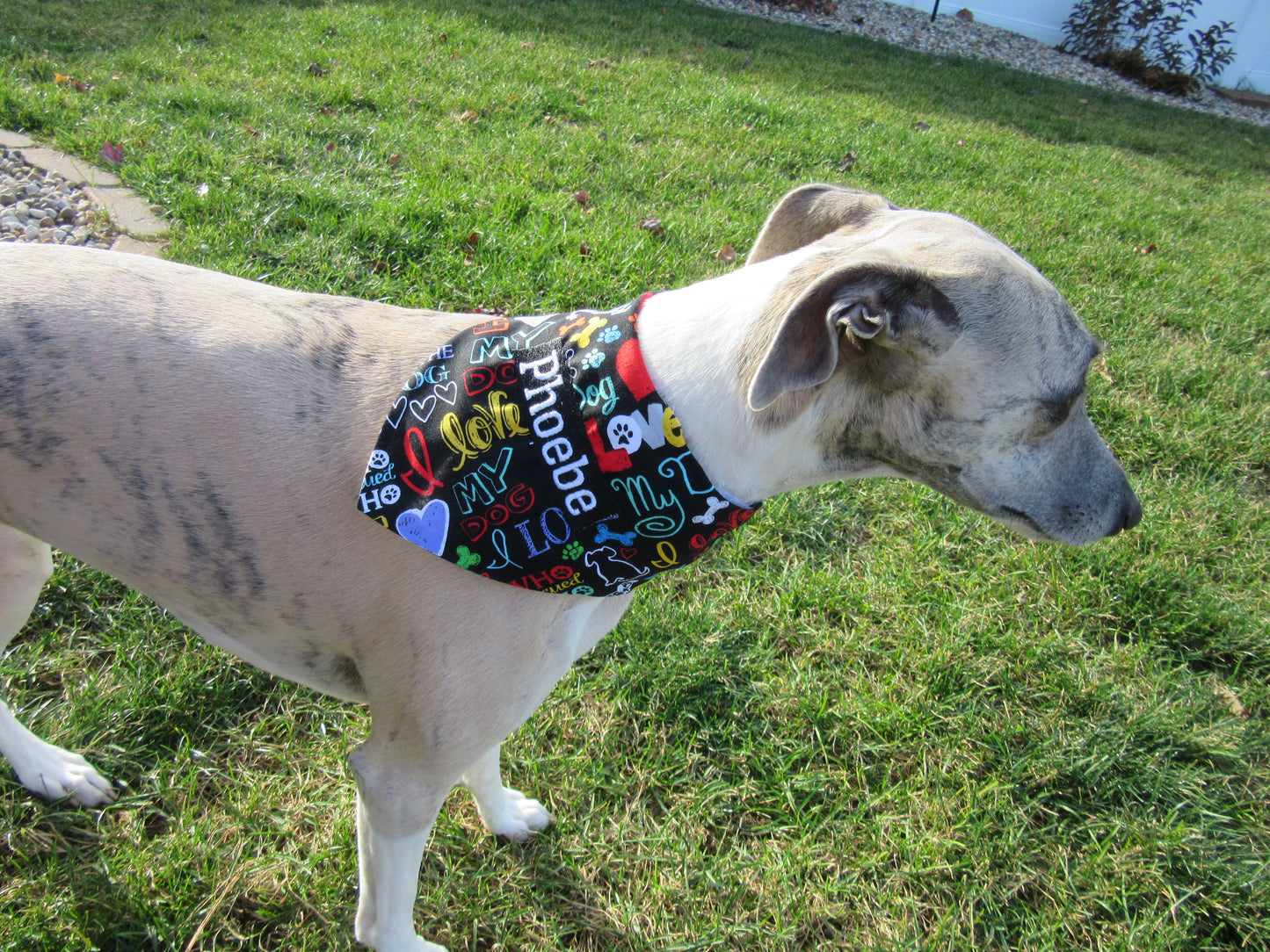 Sandy's Bandana - Tie Style - Sizes Medium & Small